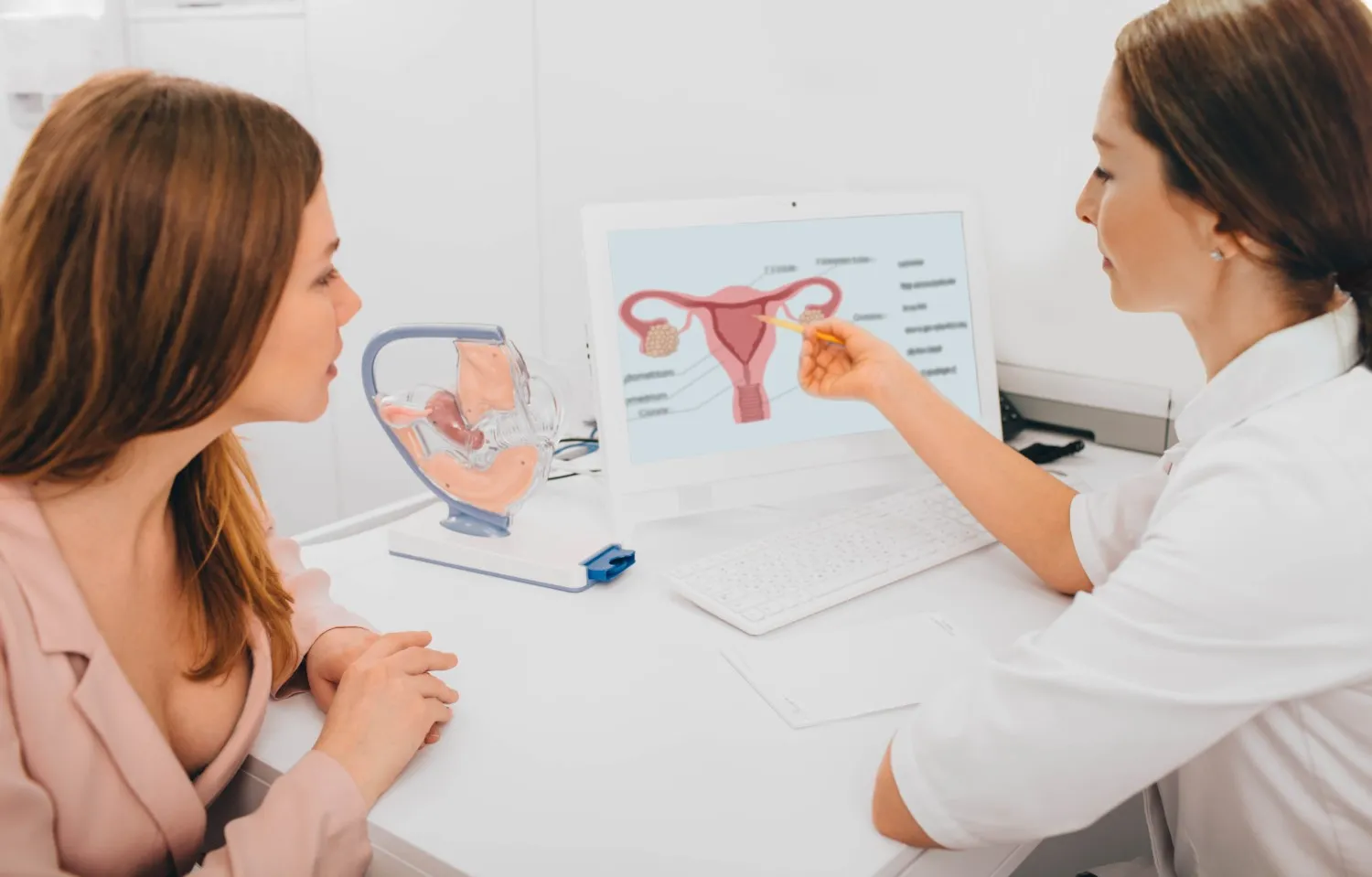 A woman consults with a doctor in a clinic, reviewing ovarian reserve and reproductive anatomy using a digital diagram and a 3D model of the female reproductive system.